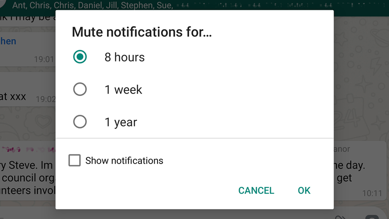 WhatsApp muting.